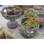 GARDEN POT & GARDEN URN