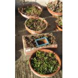 5 GARDEN POTS, 3 CIRCULAR & 2 RECTANGULAR