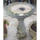 CONCRETE BIRD BATH