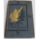 Book: Alpine Ascents and Adventures by H Schutz Wilson, second edition pub Sampson Low…. 1878