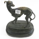 A bronze figure of a greyhound standing looking back over its shoulder, on black painted wood