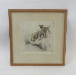 George Vernon Stokes (1873 - 1954) - Border terriers, signed limited edition coloured dry point