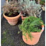 CIRCULAR TERRACOTTA POT WITH HERBS, SQUARE PLASTIC POT WITH HERBS & CIRCULAR TERRACOTTA POT WITH