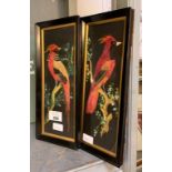 PAIR OF BIRD PAINTINGS INCLUDING REAL FEATHERS MARKED ON REVERSE JUNE 1885