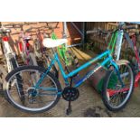 26 APOLLO FEVER LADIES RIGID BICYCLE"