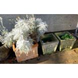 PAIR OF RECONSTITUTED STONE PLANTERS & TERRACOTTA PLANTER