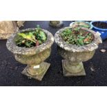 PAIR OF SMALL URN PLANTERS