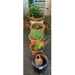 2 LARGE TERRACOTTA POTS WITH PLANTS ALONG WITH 2 PLASTIC PLANT POTS, TERRACOTTA JUG & GLAZED POT