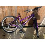 ELITE ACTIVE LADIES BICYCLE