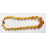 A graduated row of amber beads, the twenty seven round beads of approximately 1.5 cm - 2.5 cm