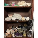 A good collection of rocks, minerals and fossils including quartz's, Fools gold, coral and others