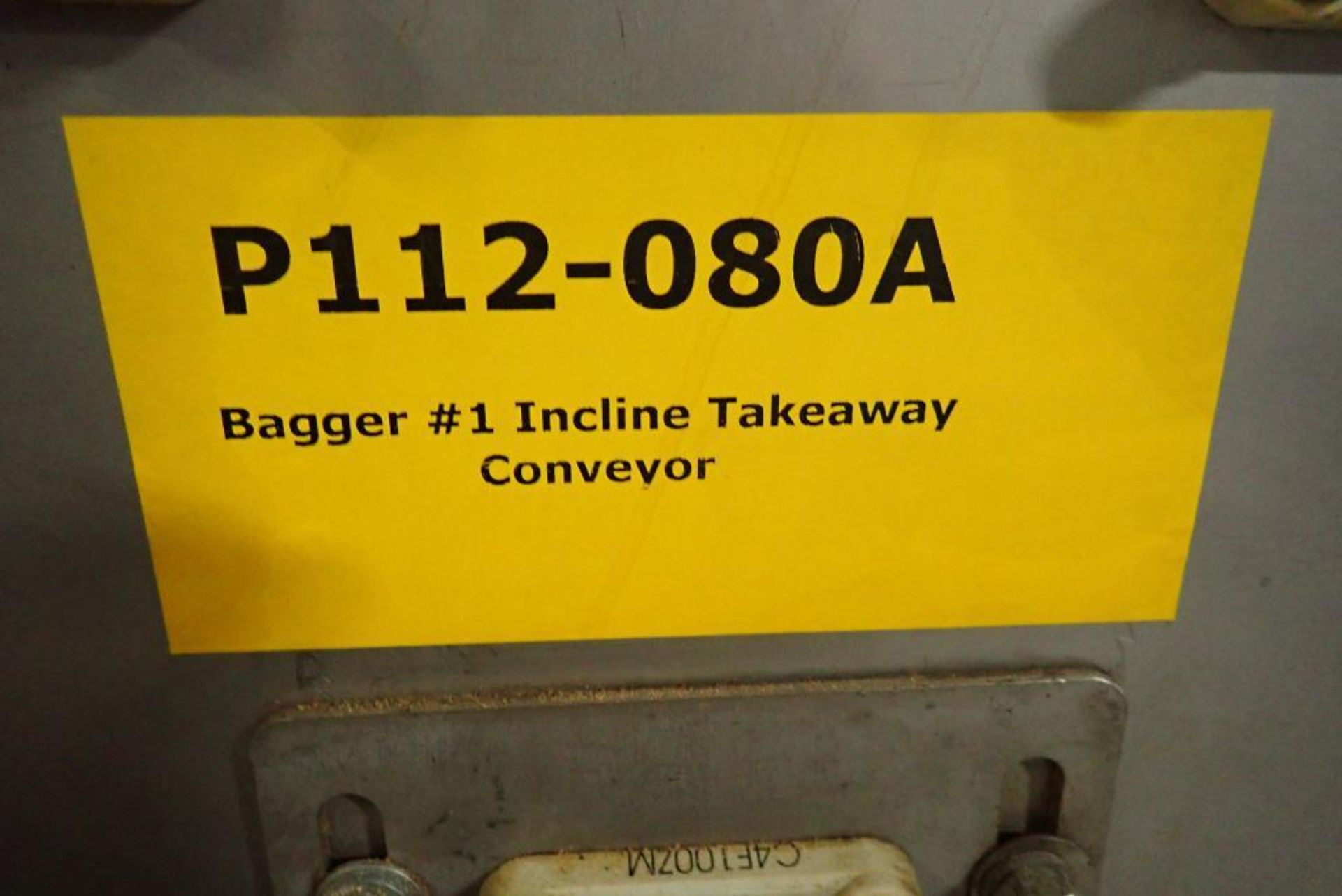 SS bagger takeaway conveyor - Image 9 of 9