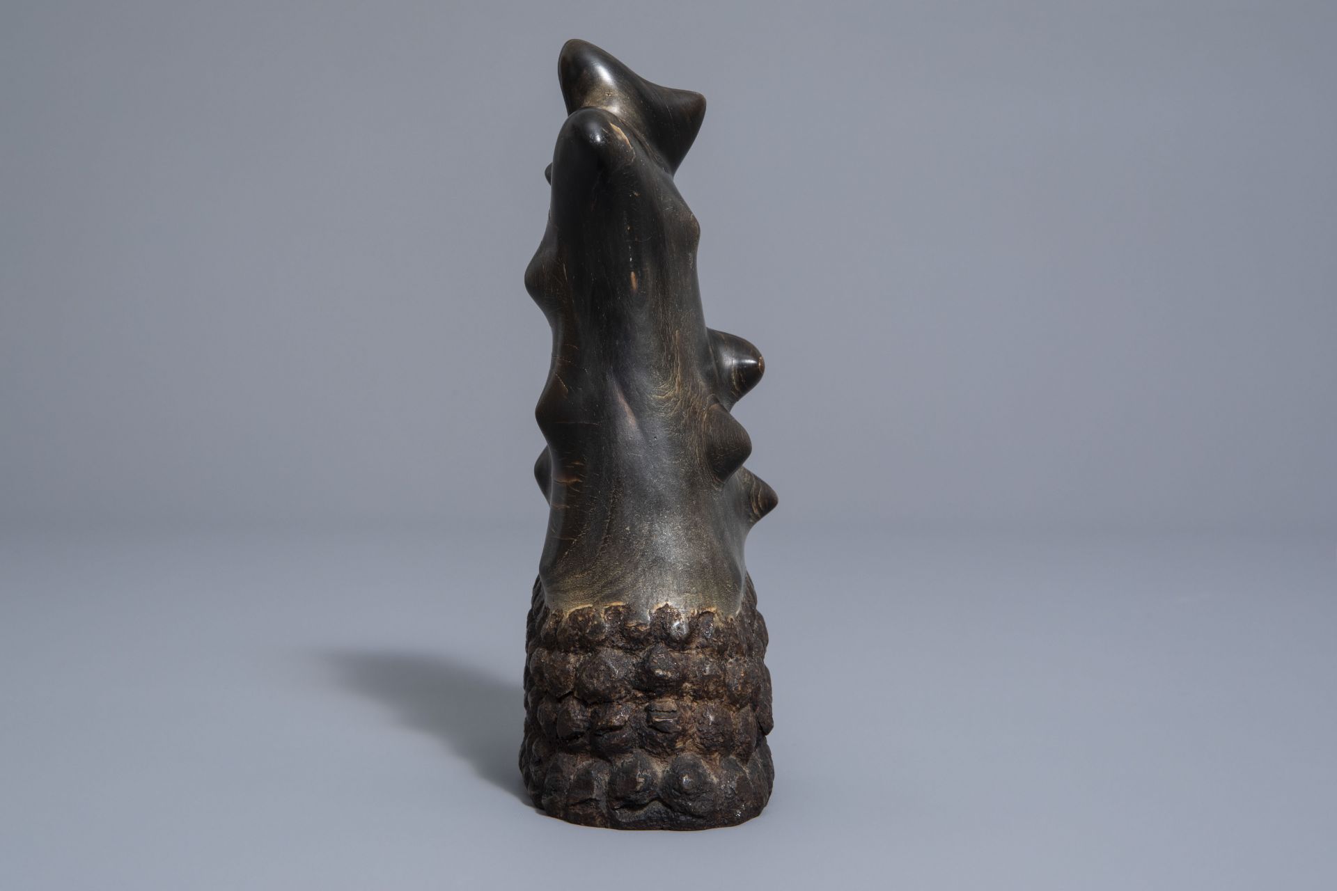 A Sng t giac or scholar's object in polished rhinoceros horn, Vietnam, 19th/20th C. - Image 3 of 7