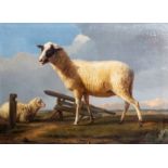 Frans Van Severdonck (1809-1889): Sheep in a meadow, oil on canvas marouflated on board, dated 18 ..