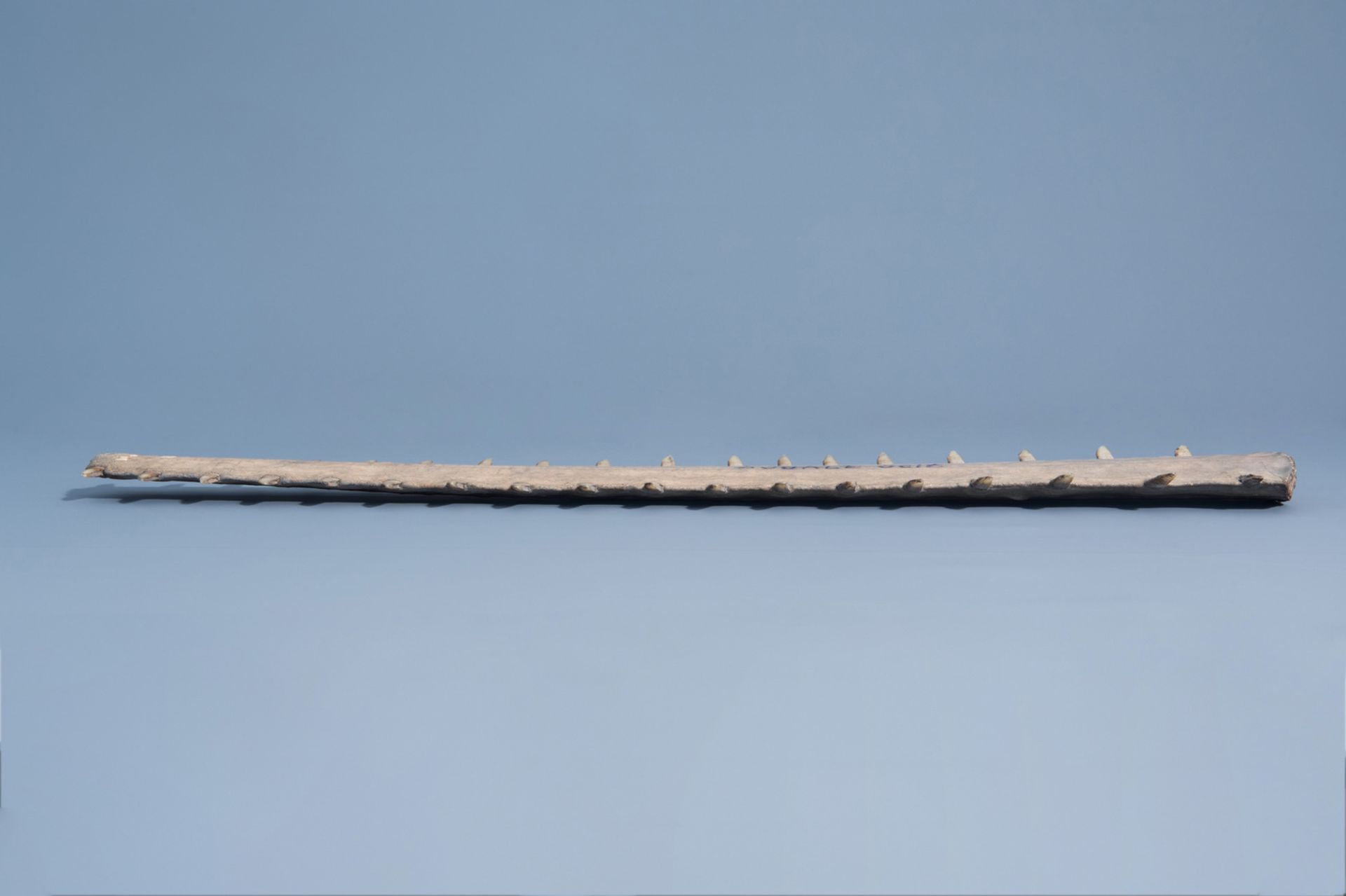 A sawtooth of a sawfish, first half of the 20th C. - Image 4 of 6