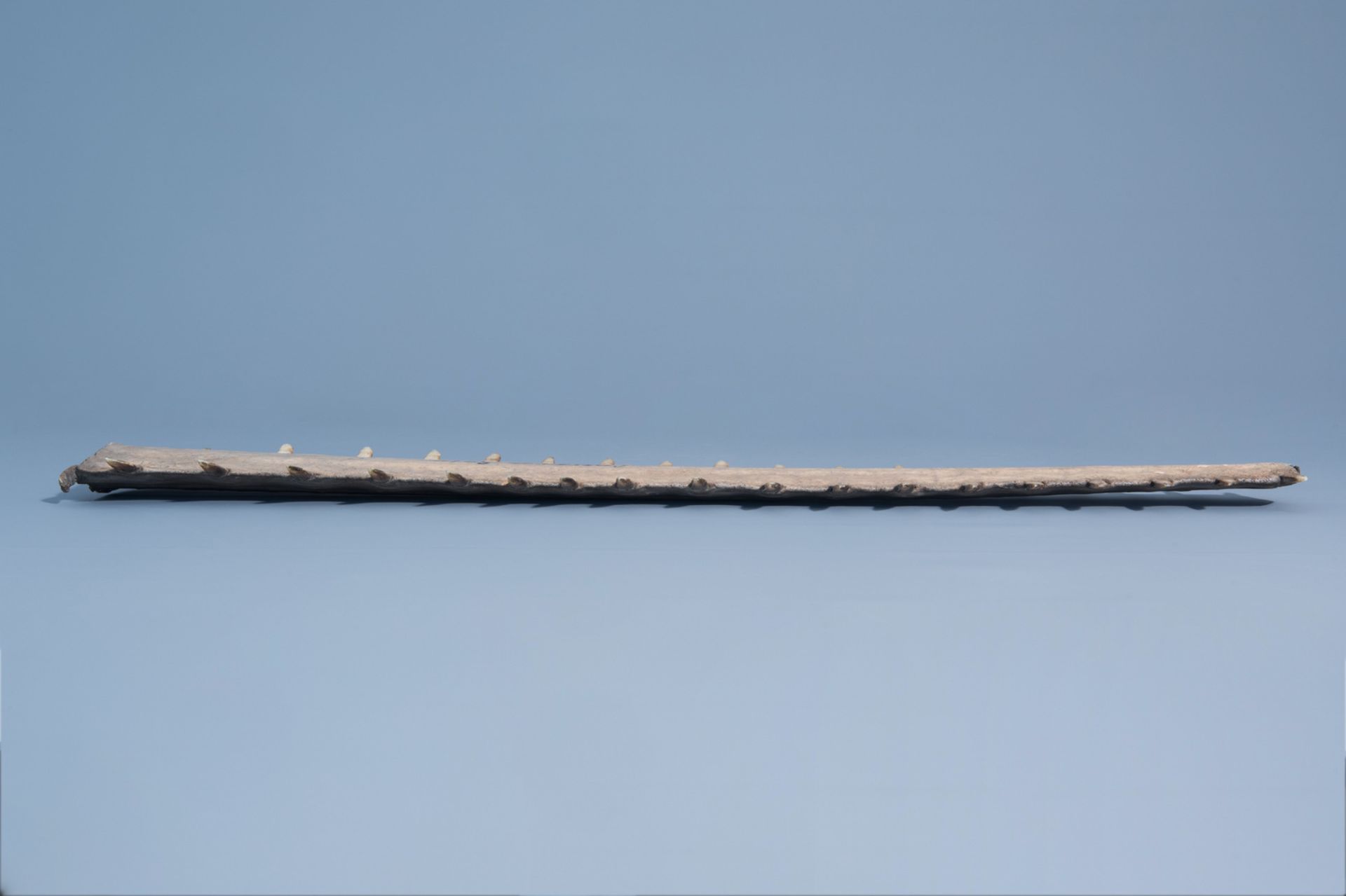 A sawtooth of a sawfish, first half of the 20th C. - Image 3 of 6