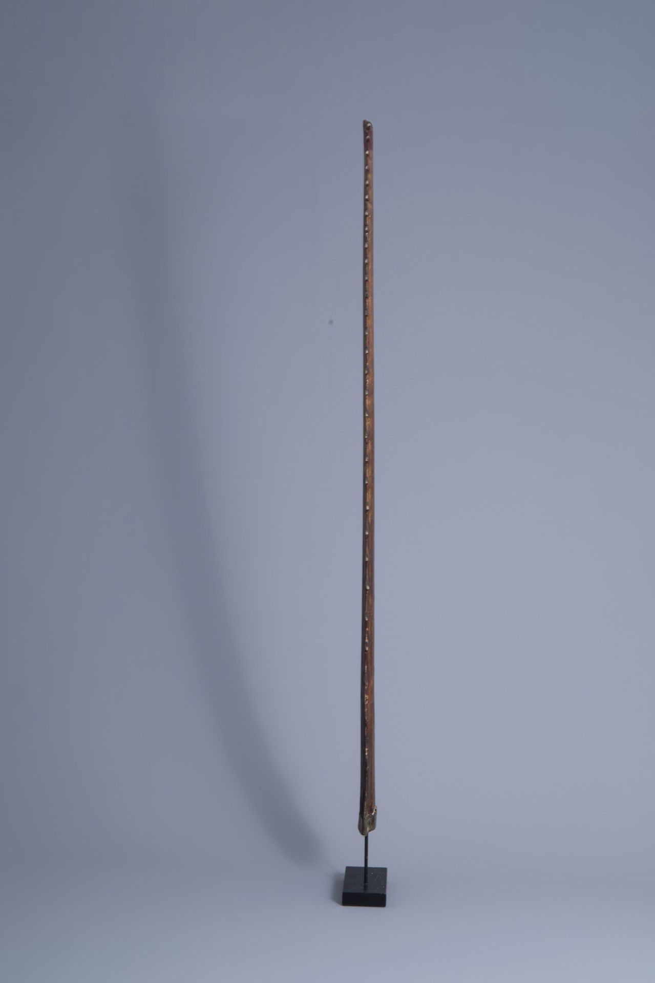 Two sawtooths of a sawfish, one of which on a stand, first half of the 20th C. - Bild 5 aus 14