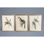 After John Gould FRS (1804-1881) and Elizabeth Gould (1804-1841): Three ornithological lithographs i