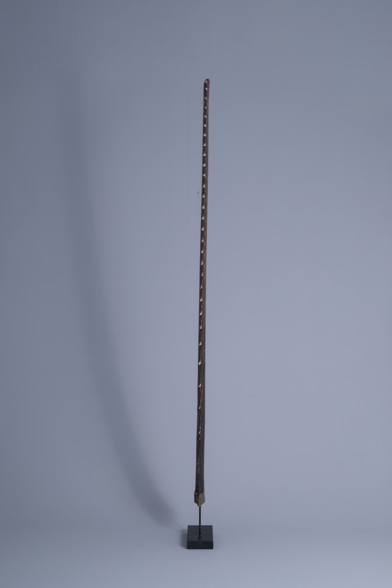 Two sawtooths of a sawfish, one of which on a stand, first half of the 20th C. - Bild 3 aus 14