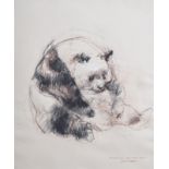 Victor Ambrus (1935): 'Female Panda, Regents Park', mixed media on paper, dated (19)93
