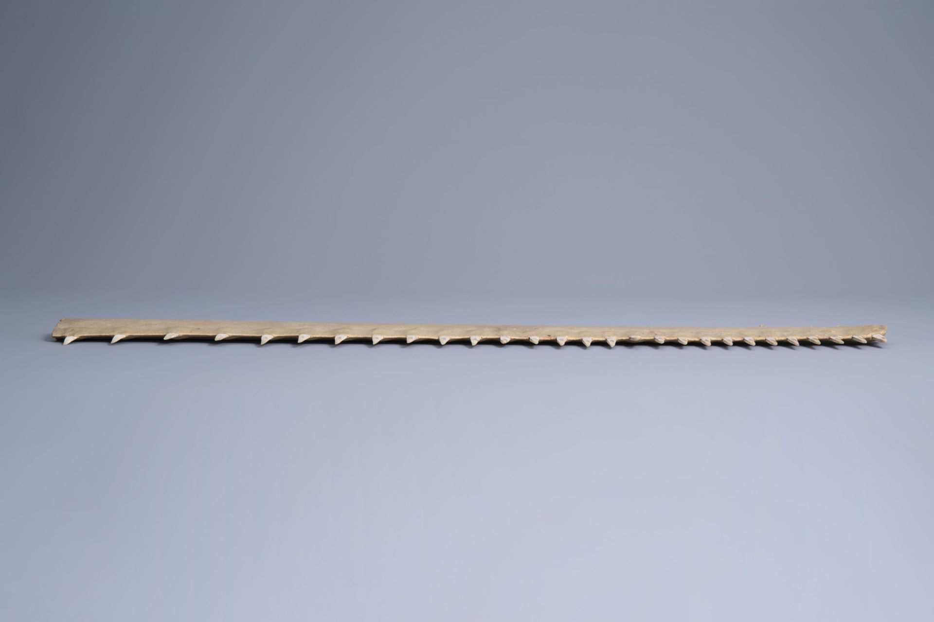 Two sawtooths of a sawfish, one of which on a stand, first half of the 20th C. - Bild 10 aus 14