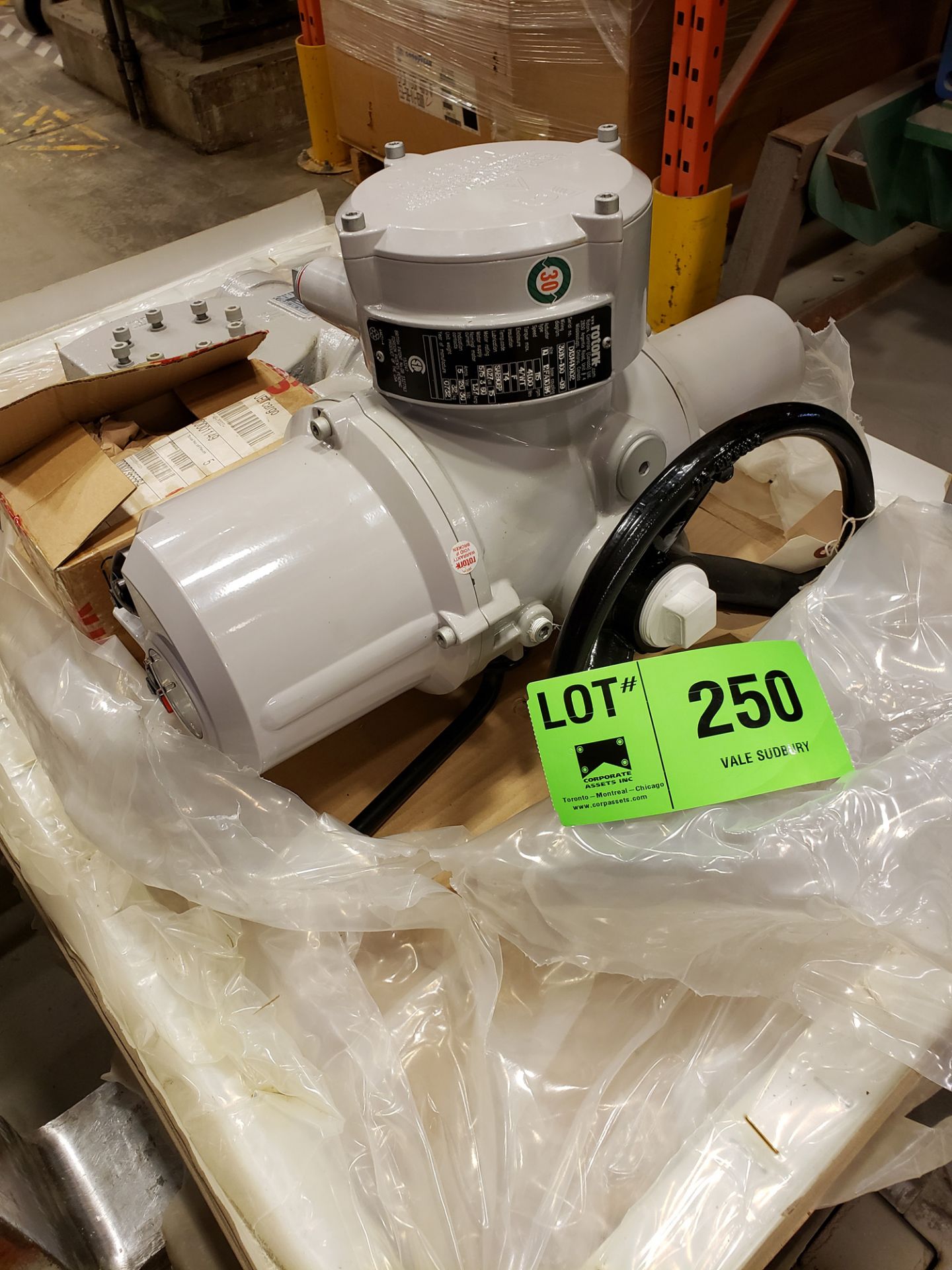 LOT/ ROTORK ELECTRIC ACTUATOR (CMD)