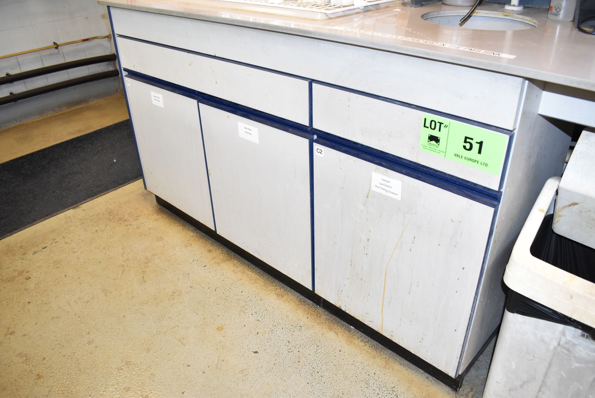 LOT/ 2 SECTION LAB STORAGE CABINET WITH CONTENTS - CLEANING SUPPLIES (ROOM 264) [RIGGING FEES FOR