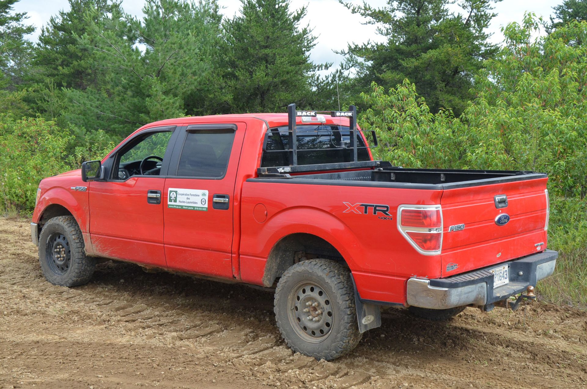 FORD (2013) F150 XLT CREW CAB PICKUP TRUCK WITH 5.0LITER V8 GAS ENGINE, AUTO TRANSMISSION, 4X4, - Image 3 of 15