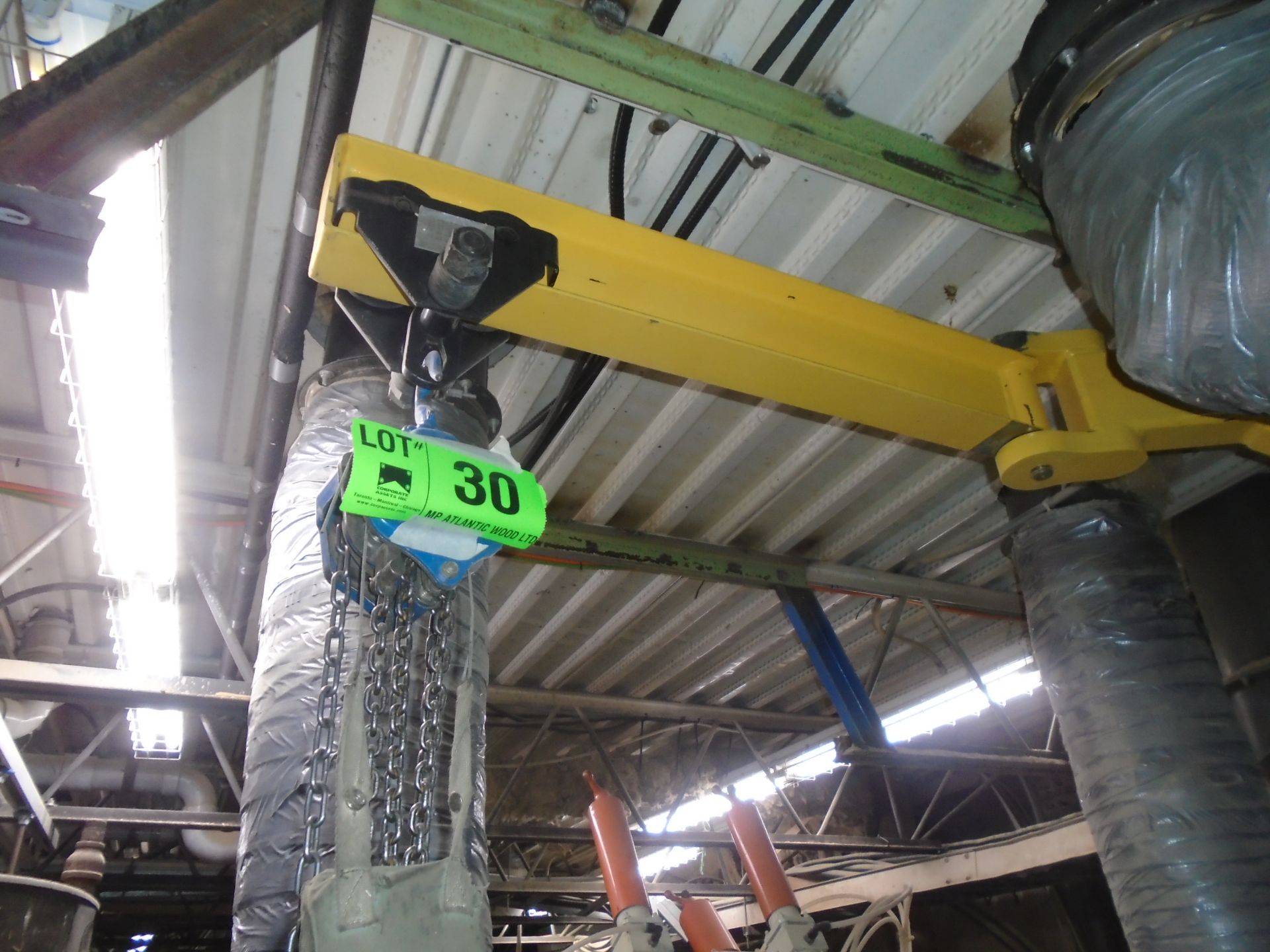 LOT/ HERCULES 500 KG. CAPACITY CHAIN HOIST WITH JIB ARM (CI)