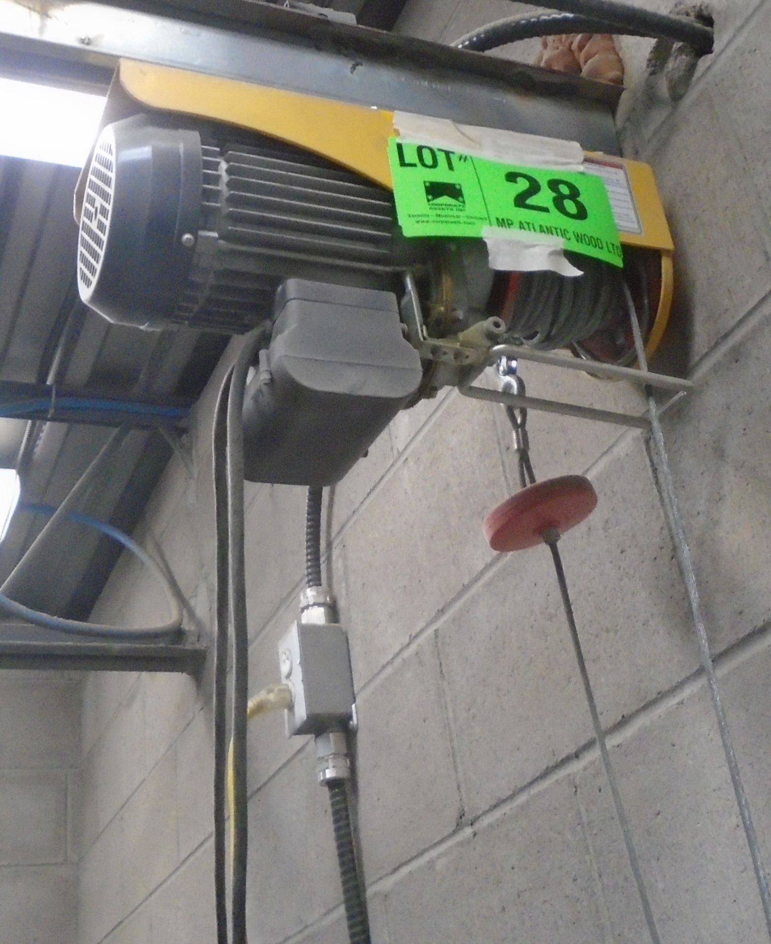 PA800B 880 LB. CAPACITY ELECTRIC HOIST