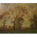 Walter Pemberton  Oil on canvas Oak tree in field, signed lower left