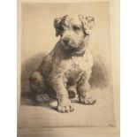 After Herbert Dicksee Engraving Study of a Puppy, signed in pencil with artist blind studio stamp