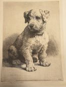 After Herbert Dicksee Engraving Study of a Puppy, signed in pencil with artist blind studio stamp