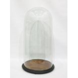 Large glass dome on stand, approx 84cm high