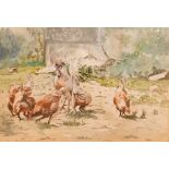 20th Century Watercolour Chickens and Rooster, unsigned 13.5 x 19.5 cm