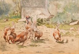 20th Century Watercolour Chickens and Rooster, unsigned 13.5 x 19.5 cm