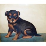 Naive school Watercolour drawing Study of a seated dog, 21cm x 25cm (in rosewood frame)  Condition