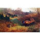 After Archibald Thorburn Pair colour prints of pheasants in landscape (2)