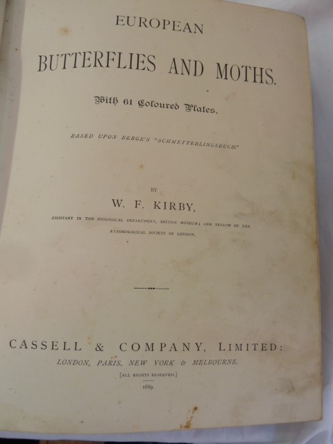 Kirby, W F "European Butterflies and Moths", Cassell & Company 1889, colour plates, maroon cloth - Image 4 of 7