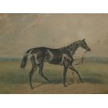 Unattributed Watercolour drawing Racehorse and figure leading, 12cm x 16cm
