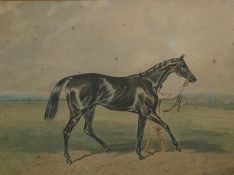 Unattributed Watercolour drawing Racehorse and figure leading, 12cm x 16cm