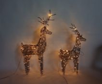 Pair of illuminated wirework deer (2)  60 x 105 h. and 60 x 86 h - excluding the antlers Condition