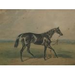 Unattributed Watercolour drawing Racehorse and figure leading, 12cm x 16cm  framed Condition