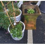 Two white and blue ceramic planters containing wall flowers and violas and one reclaimed waisted