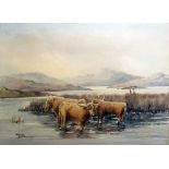 Peter Whitworth Watercolour drawing Highland cattle watering, 26.5cm x 36.5cm Unattributed