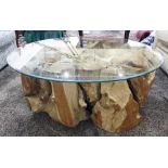 Coffee table, the glass top supported by root system which has grown around the rock, 110cm diameter