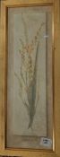 Pair of botanical prints, framed in brushed gilt frames (2)