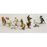 Collection of various pottery and porcelain model birds to include three various Goebel birds, a