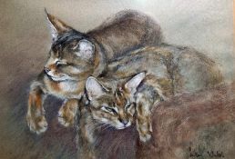 Julian Walsh (20th century) Pastel  Study of two cats sleeping, signed lower right, 25cm x 35cm