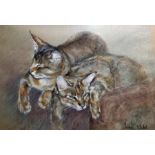 Julian Walsh (20th century) Pastel  Study of two cats sleeping, signed lower right, 25cm x 35cm